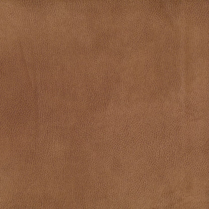Eastwood by Warwick Fabrics