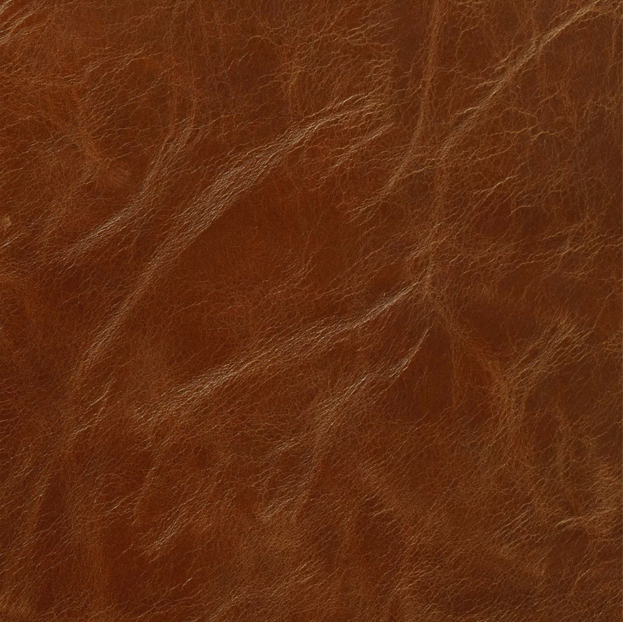 London Club Leather by Warwick Fabrics