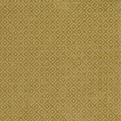 Akasha Tritan by Warwick Fabrics