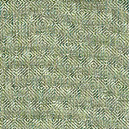 Akasha Tritan by Warwick Fabrics
