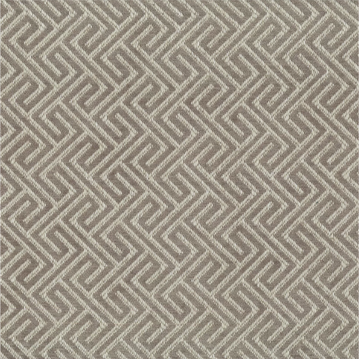 Asmara Tritan by Warwick Fabrics