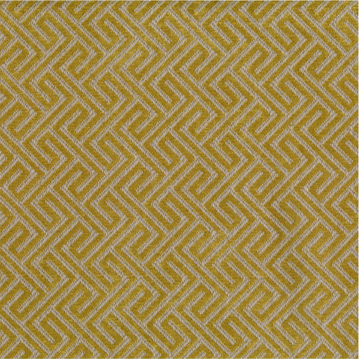 Asmara Tritan by Warwick Fabrics