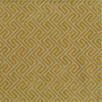 Akasha Tritan by Warwick Fabrics