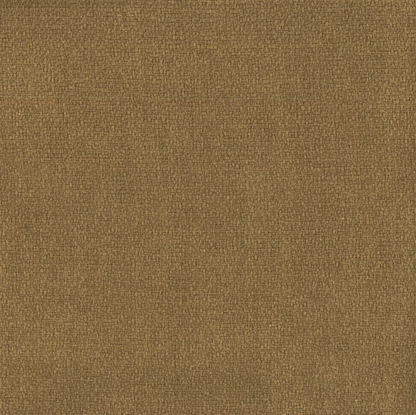 Atlas by Warwick Fabrics