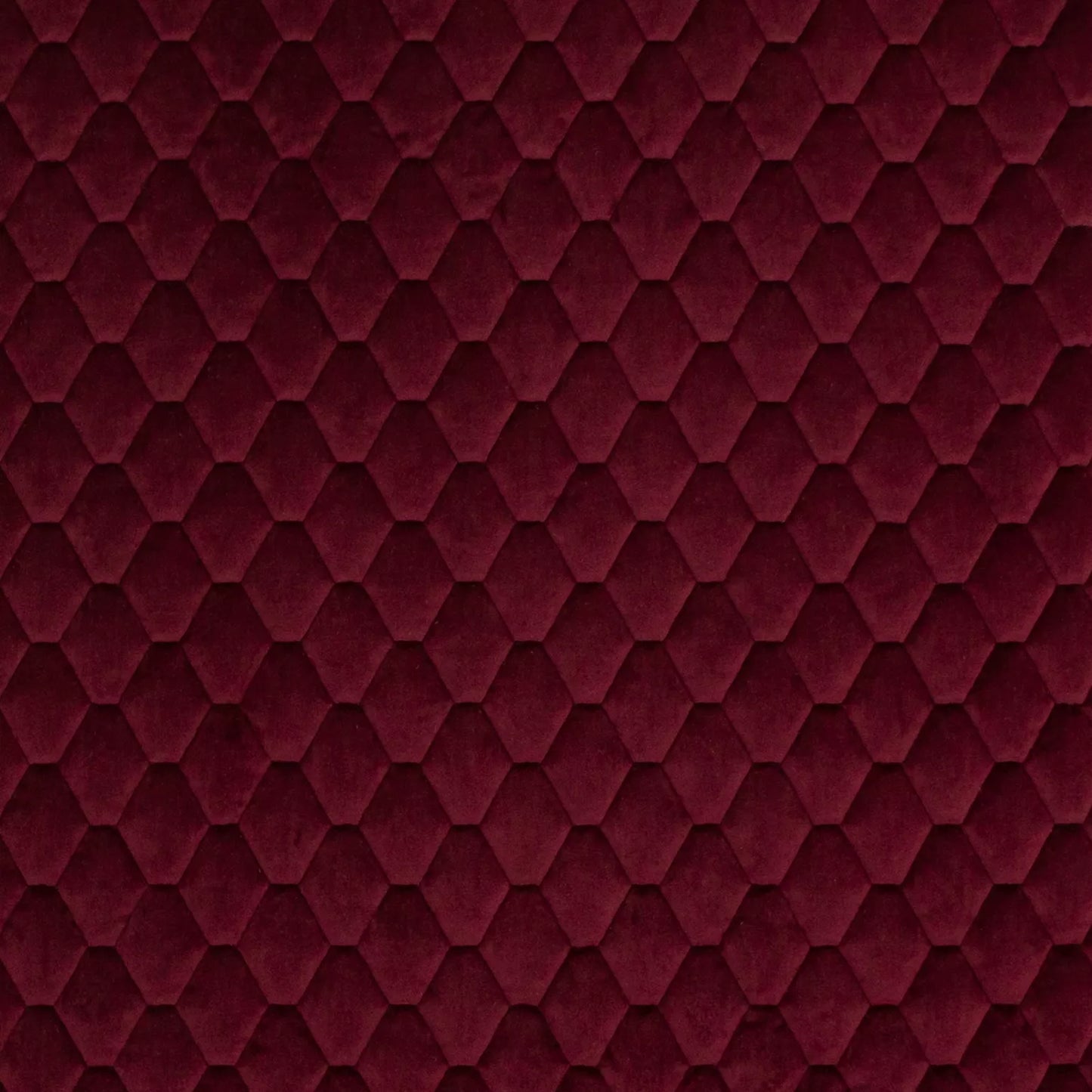Essence Berry by Warwick Fabrics