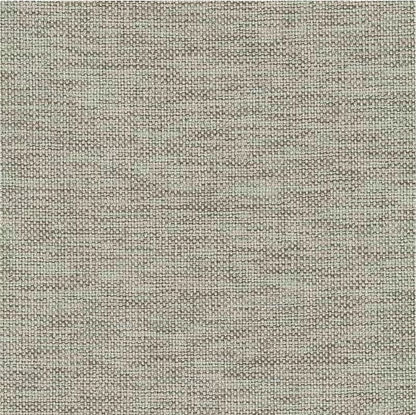 Bronx Tritan by Warwick Fabrics