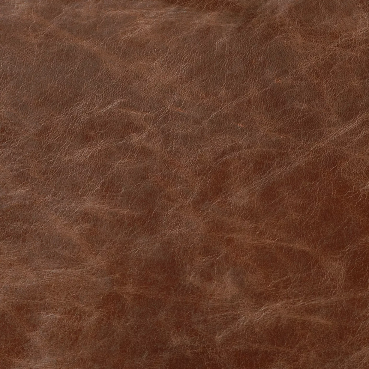 London Club Leather by Warwick Fabrics