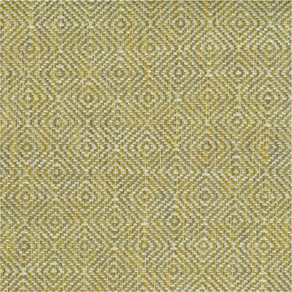 Akasha Tritan by Warwick Fabrics