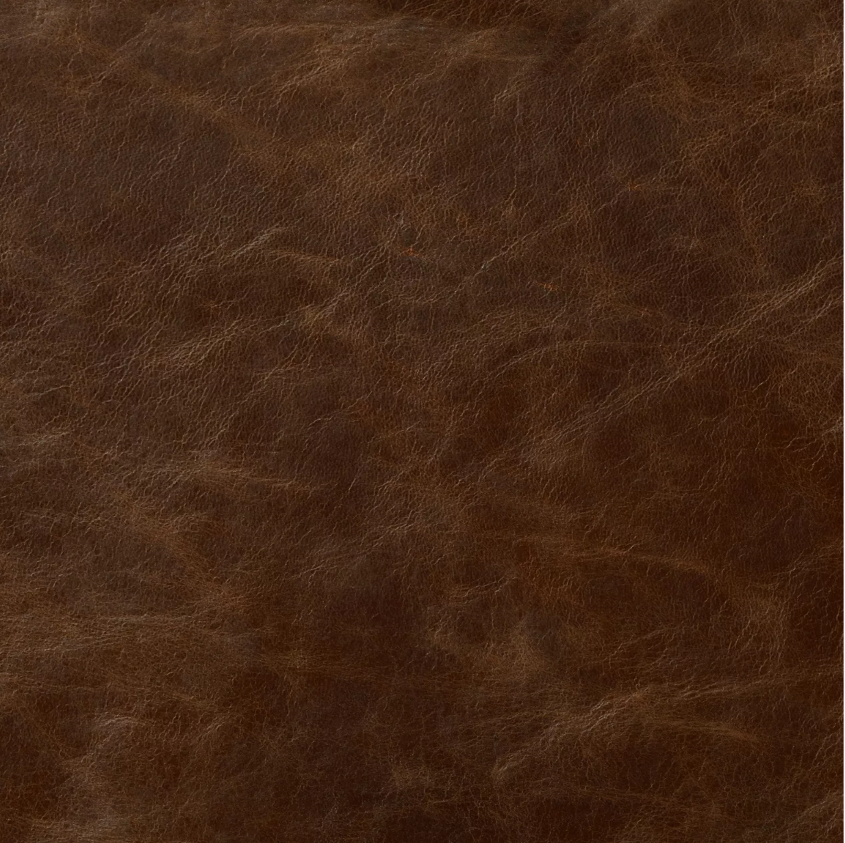 London Club Leather by Warwick Fabrics