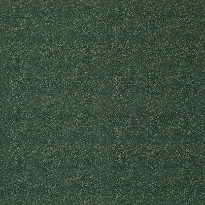 Frasier by Warwick Fabrics
