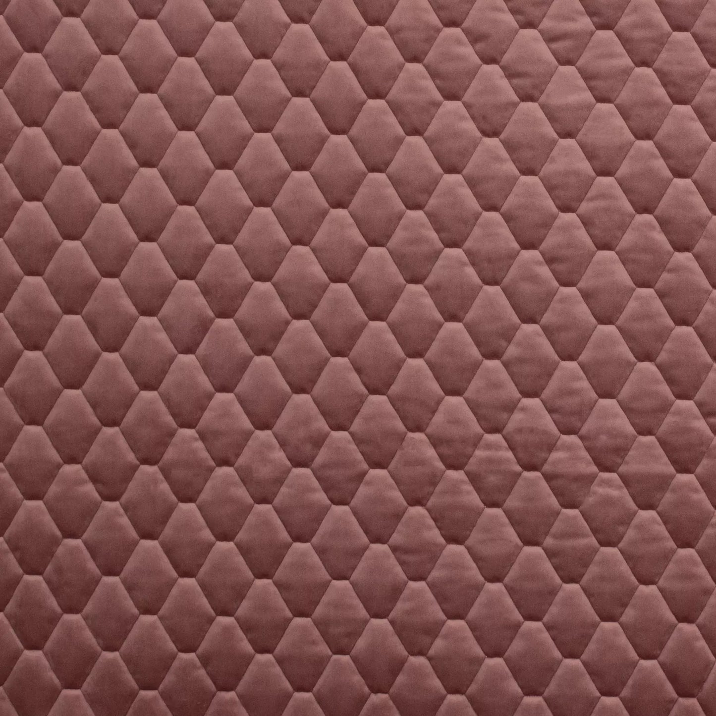 Essence Orchid by Warwick Fabrics