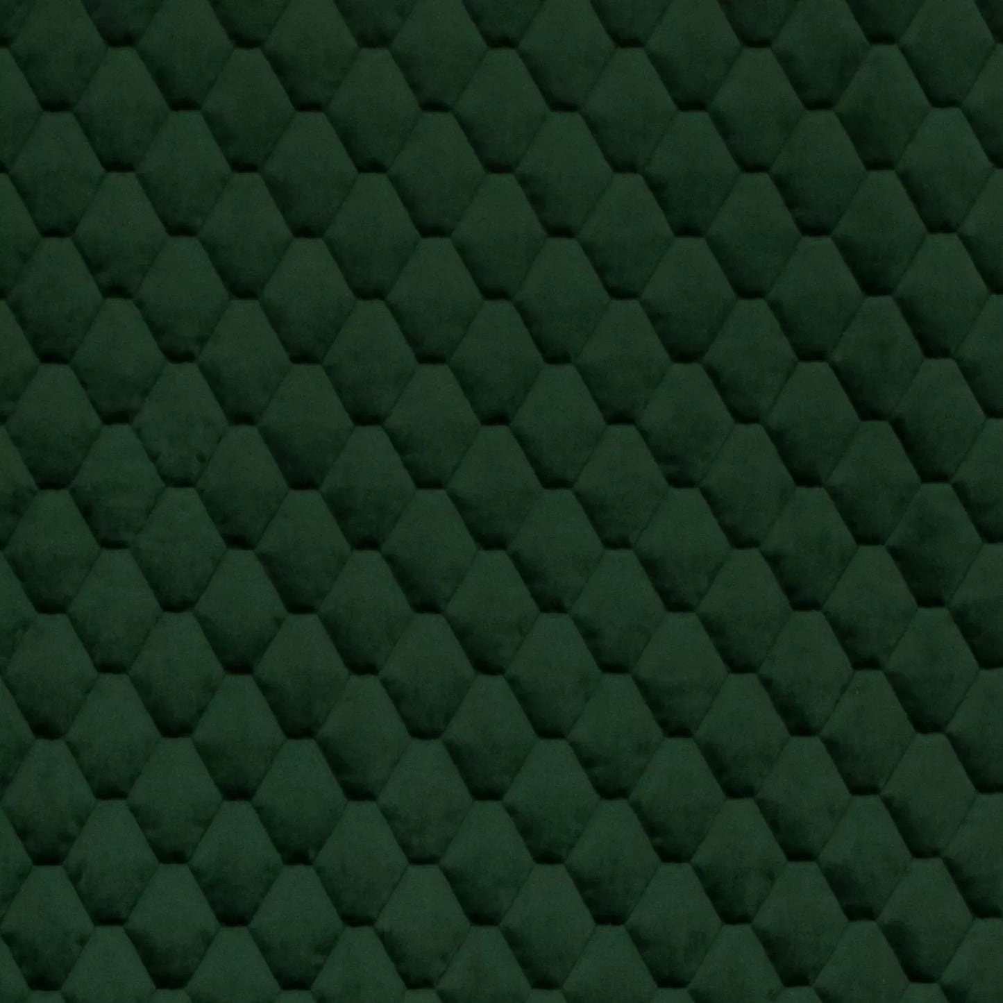 Essence Pine by Warwick Fabrics