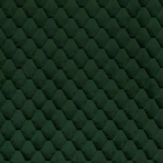 Essence Pine by Warwick Fabrics