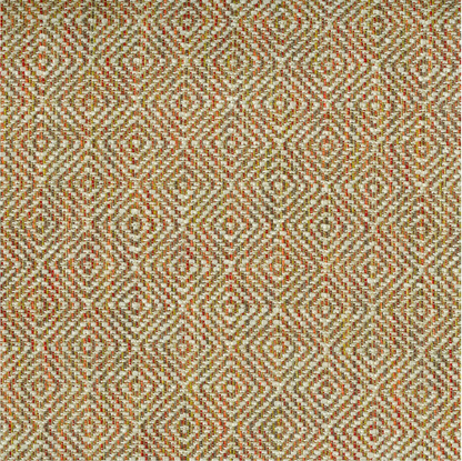 Akasha Tritan by Warwick Fabrics