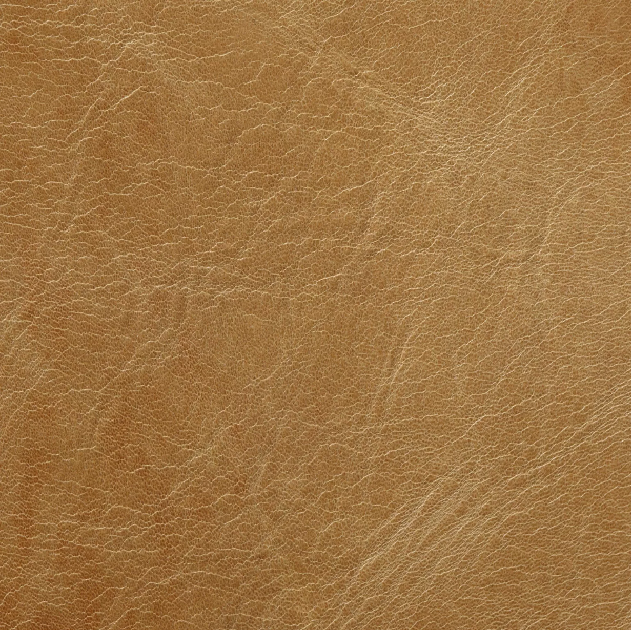 London Club Leather by Warwick Fabrics