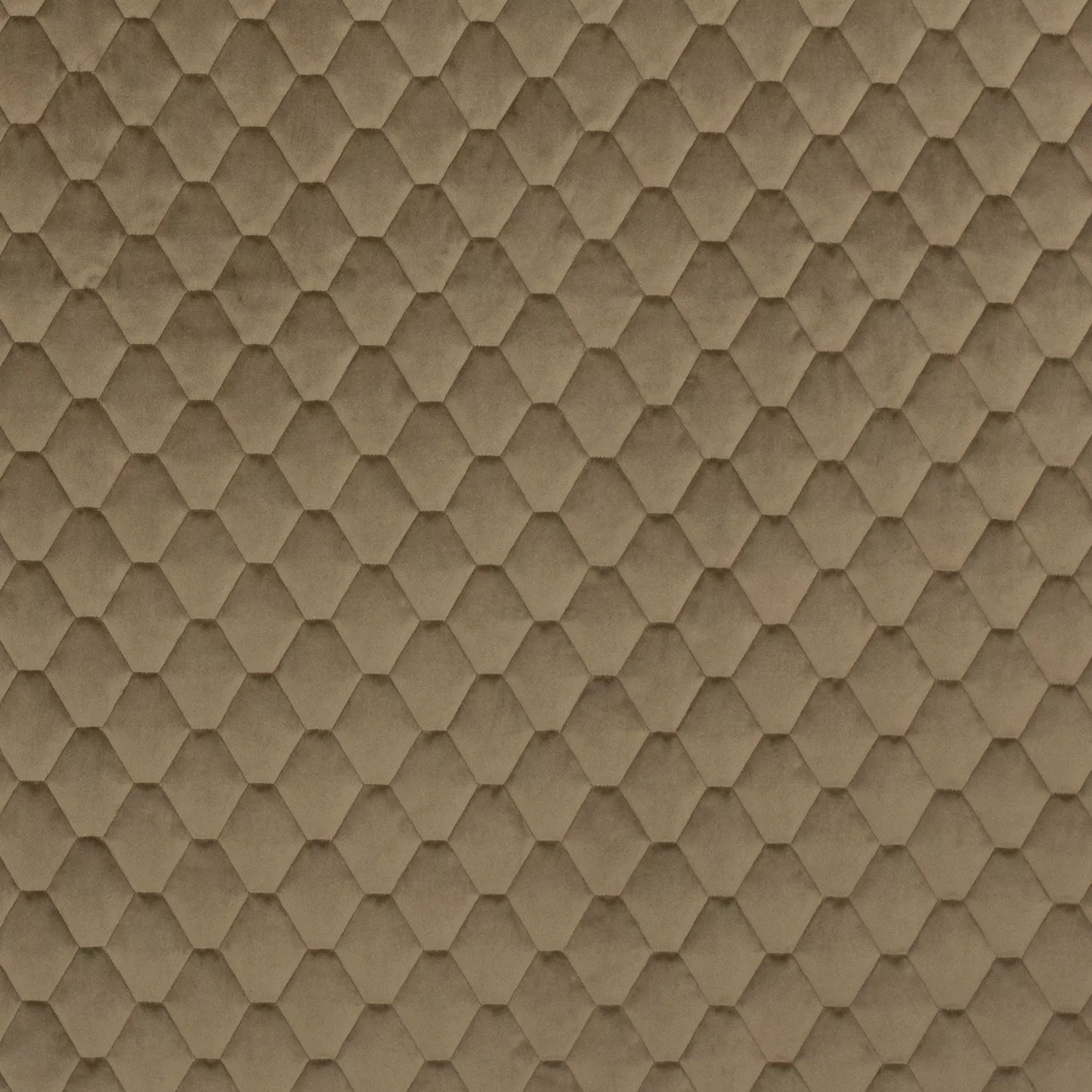 Essence Truffle by Warwick Fabrics