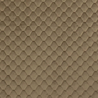 Essence Truffle by Warwick Fabrics
