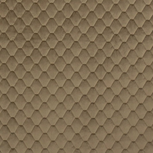 Essence Truffle by Warwick Fabrics