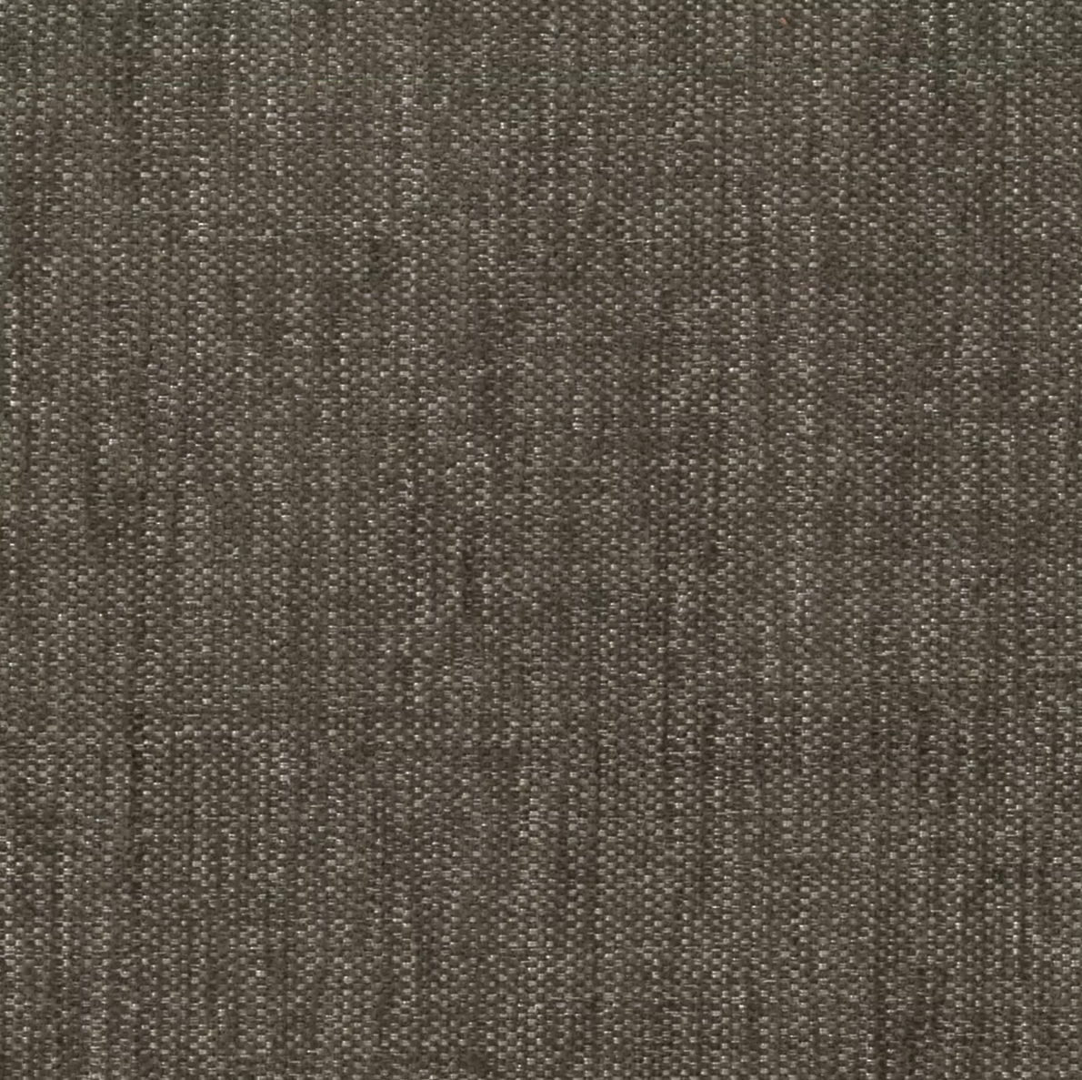 Ventura (Tritan) by Warwick Fabrics