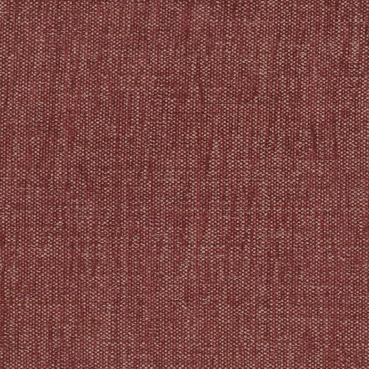 Ventura (Tritan) by Warwick Fabrics