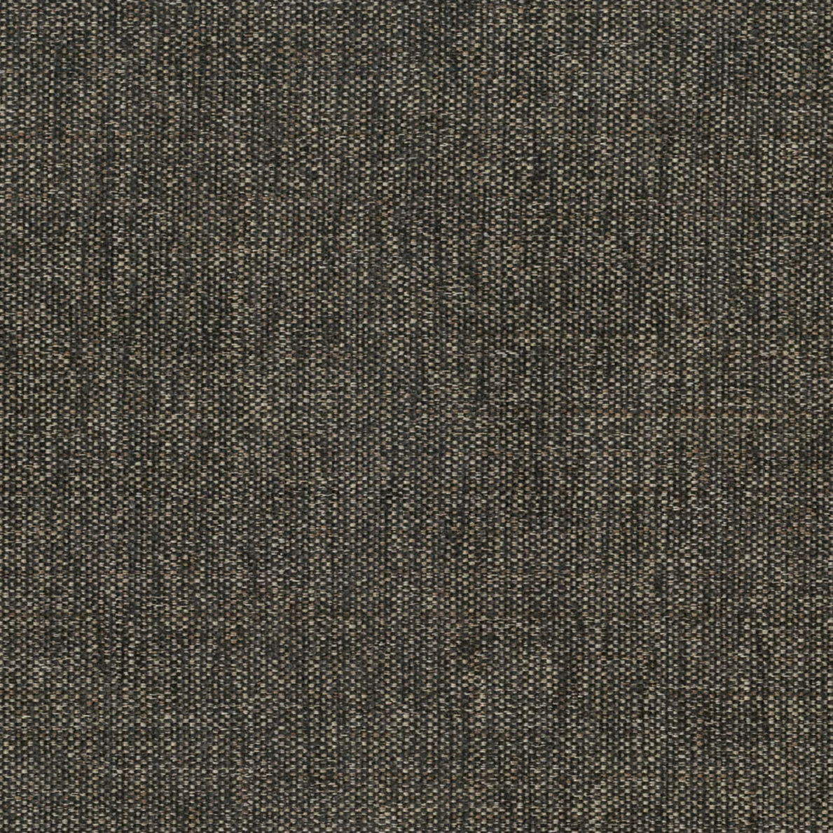 Ventura (Tritan) by Warwick Fabrics