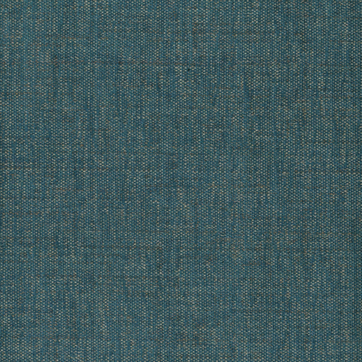 Ventura (Tritan) by Warwick Fabrics