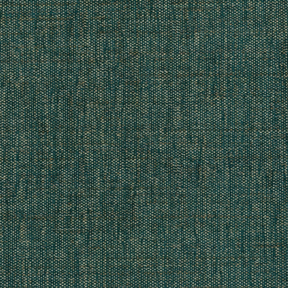 Ventura (Tritan) by Warwick Fabrics