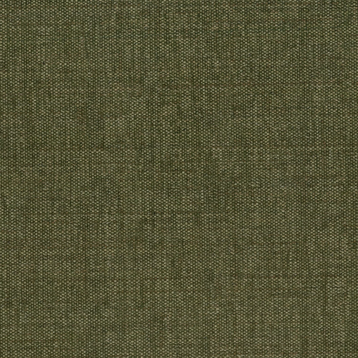 Ventura (Tritan) by Warwick Fabrics