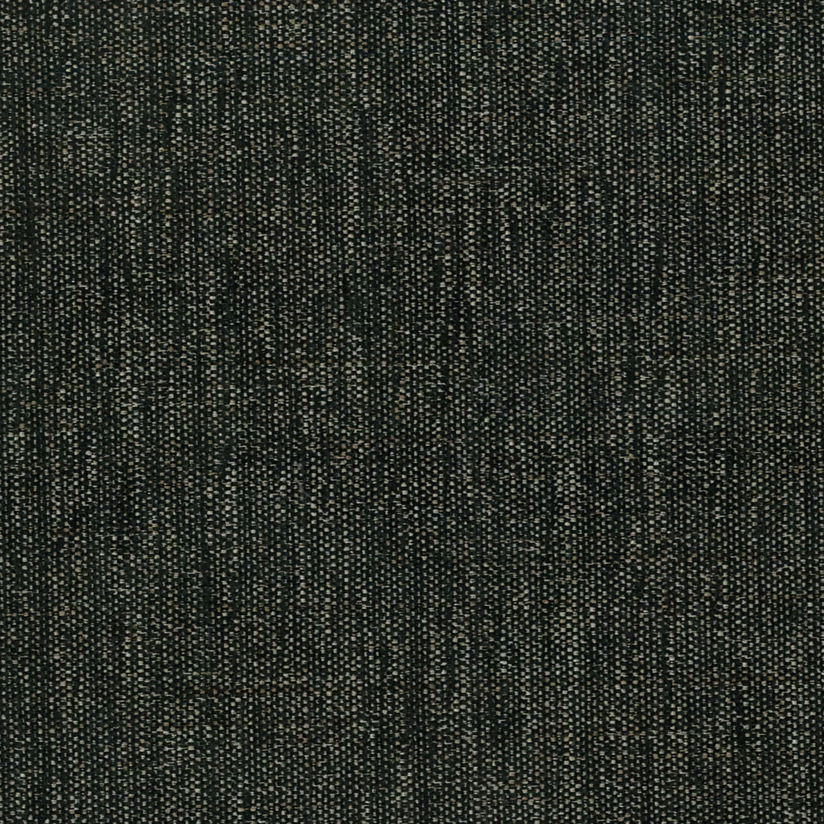 Ventura (Tritan) by Warwick Fabrics